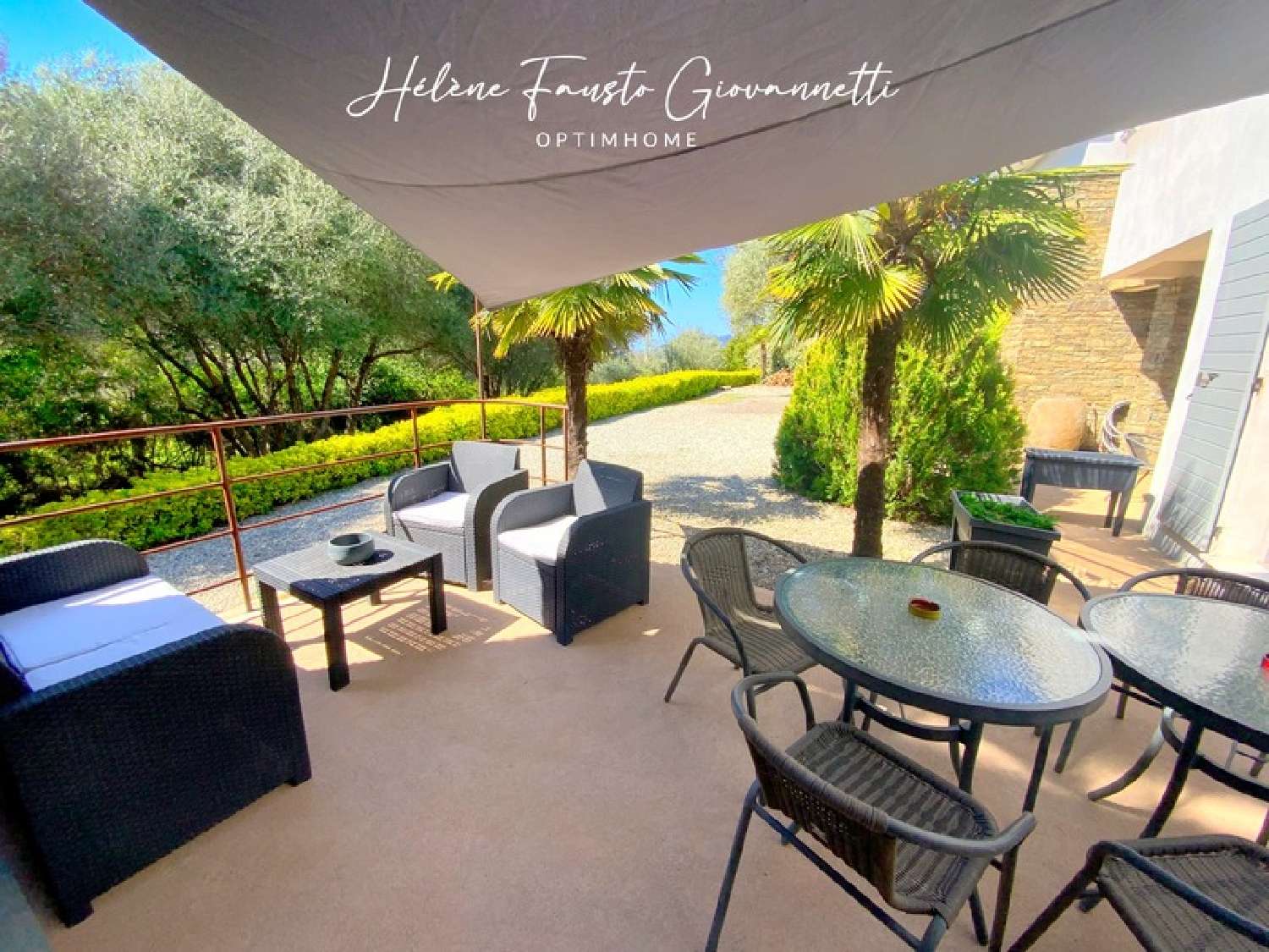  te koop landgoed Oletta Haute-Corse 7