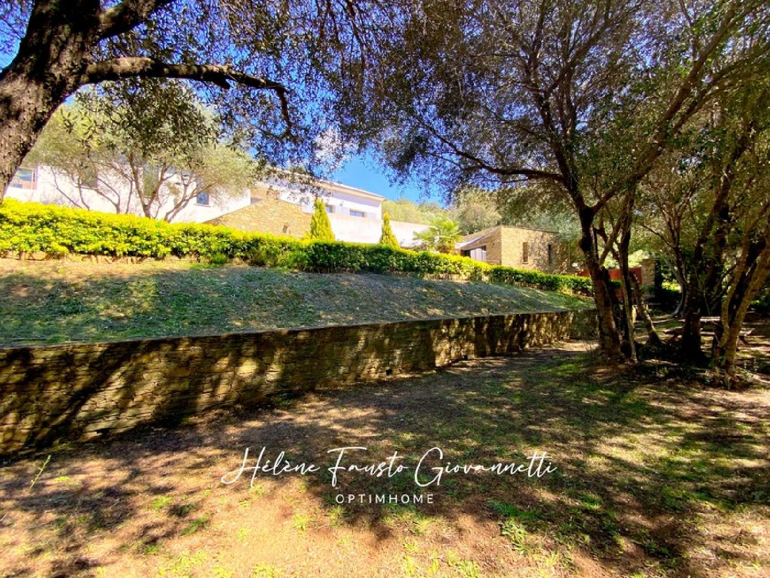  te koop landgoed Oletta Haute-Corse 8