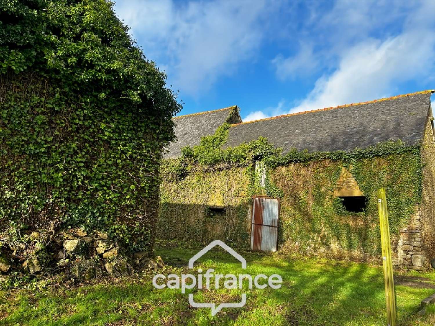 te koop landgoed Plémet Côtes-d'Armor 8