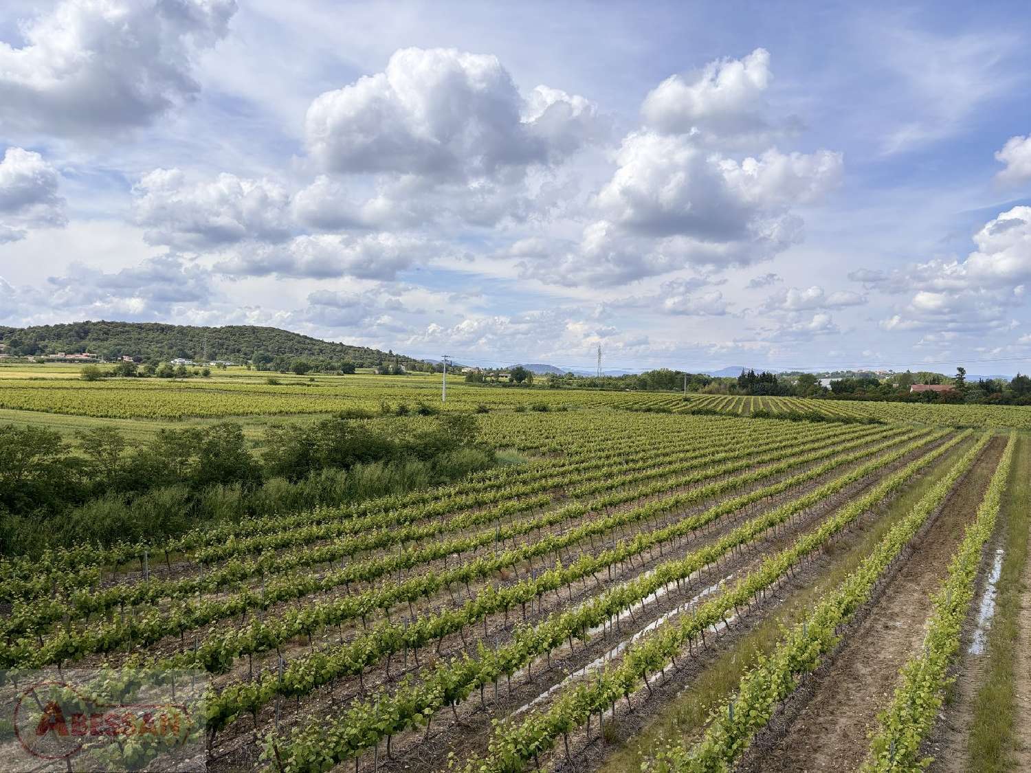  te koop landgoed Ribaute-les-Tavernes Gard 6