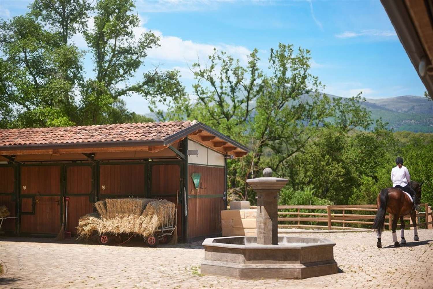  en venta finca rústica Roquefort-les-pins Alpes-Maritimes 2