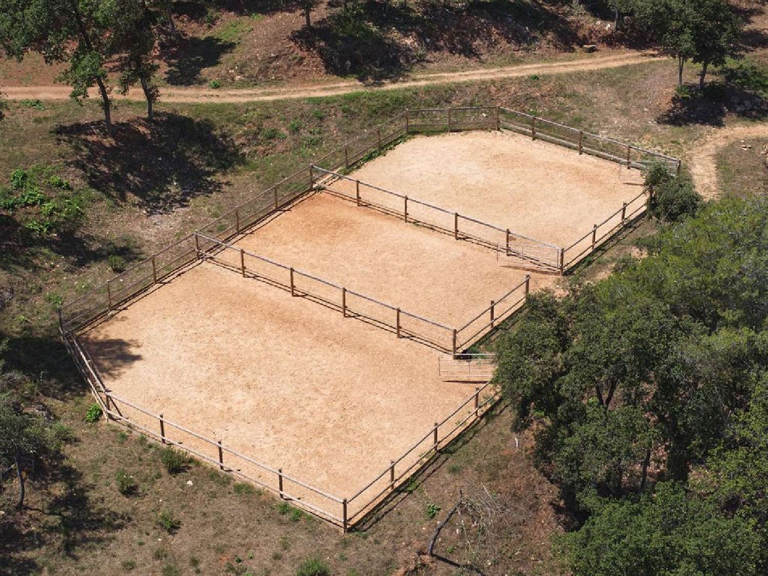  en venta finca rústica Roquefort-les-pins Alpes-Maritimes 5