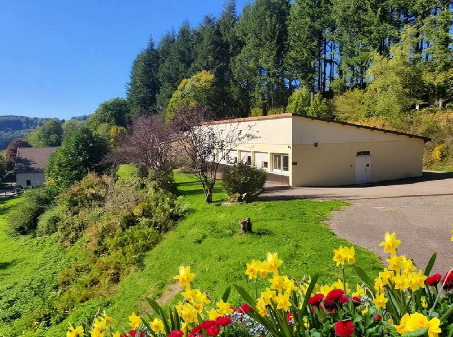  te koop landgoed Rupt-sur-Moselle Vogezen 2