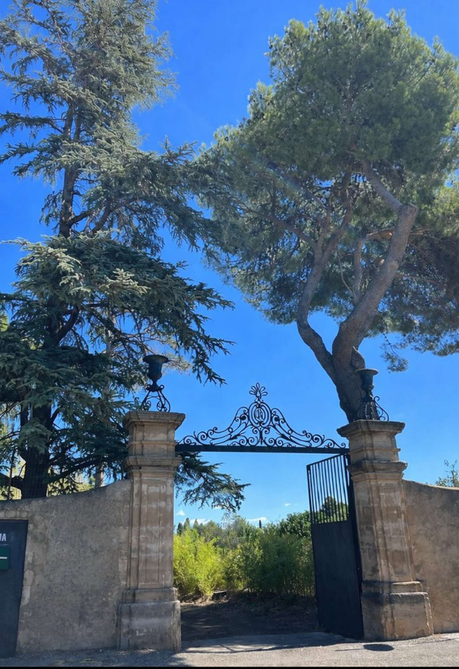 en venta finca rústica Saint-André-de-Sangonis Hérault 2