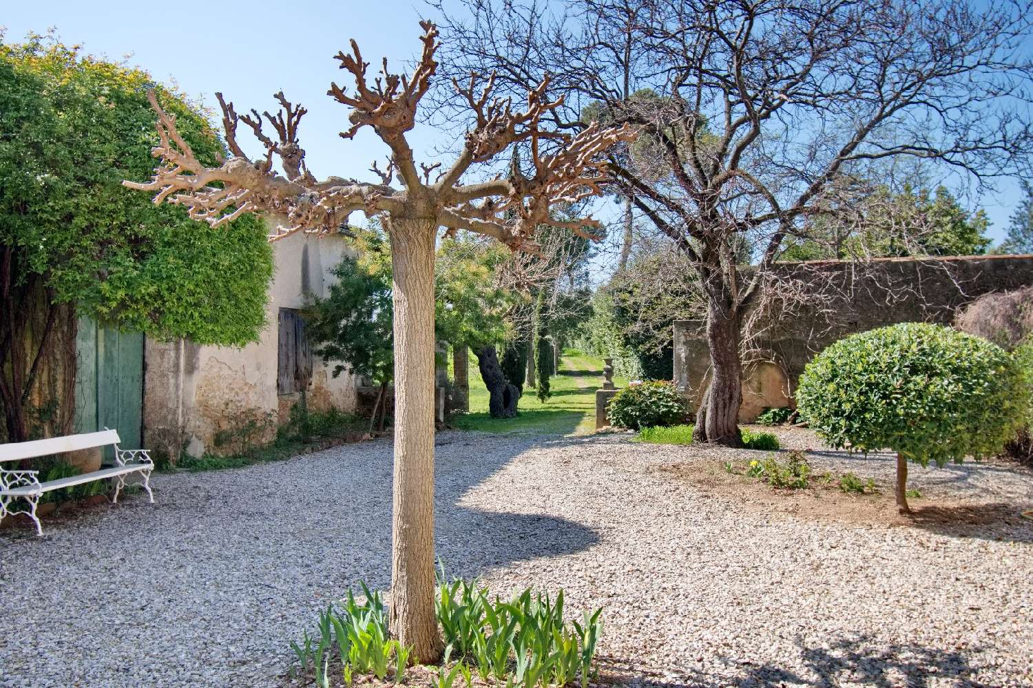 en venta finca rústica Saint-André-de-Sangonis Hérault 3