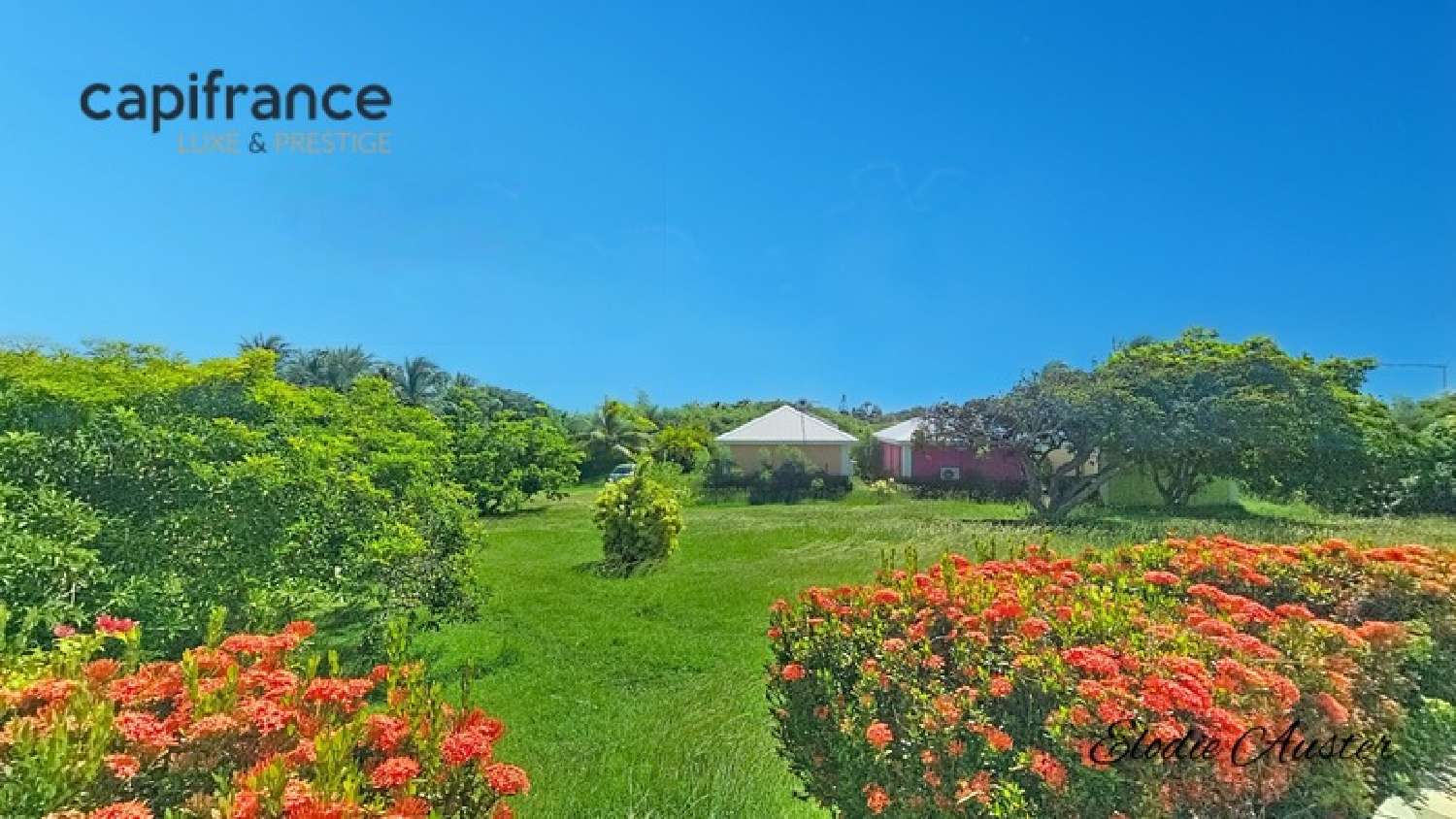  à vendre propriété Saint-François Guadeloupe 2