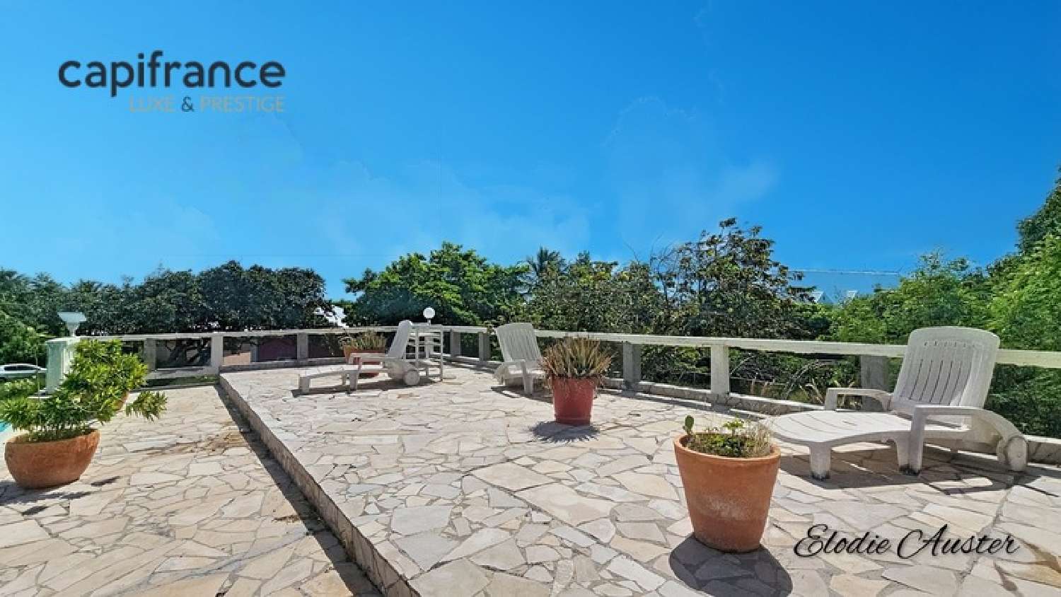  à vendre propriété Saint-François Guadeloupe 4