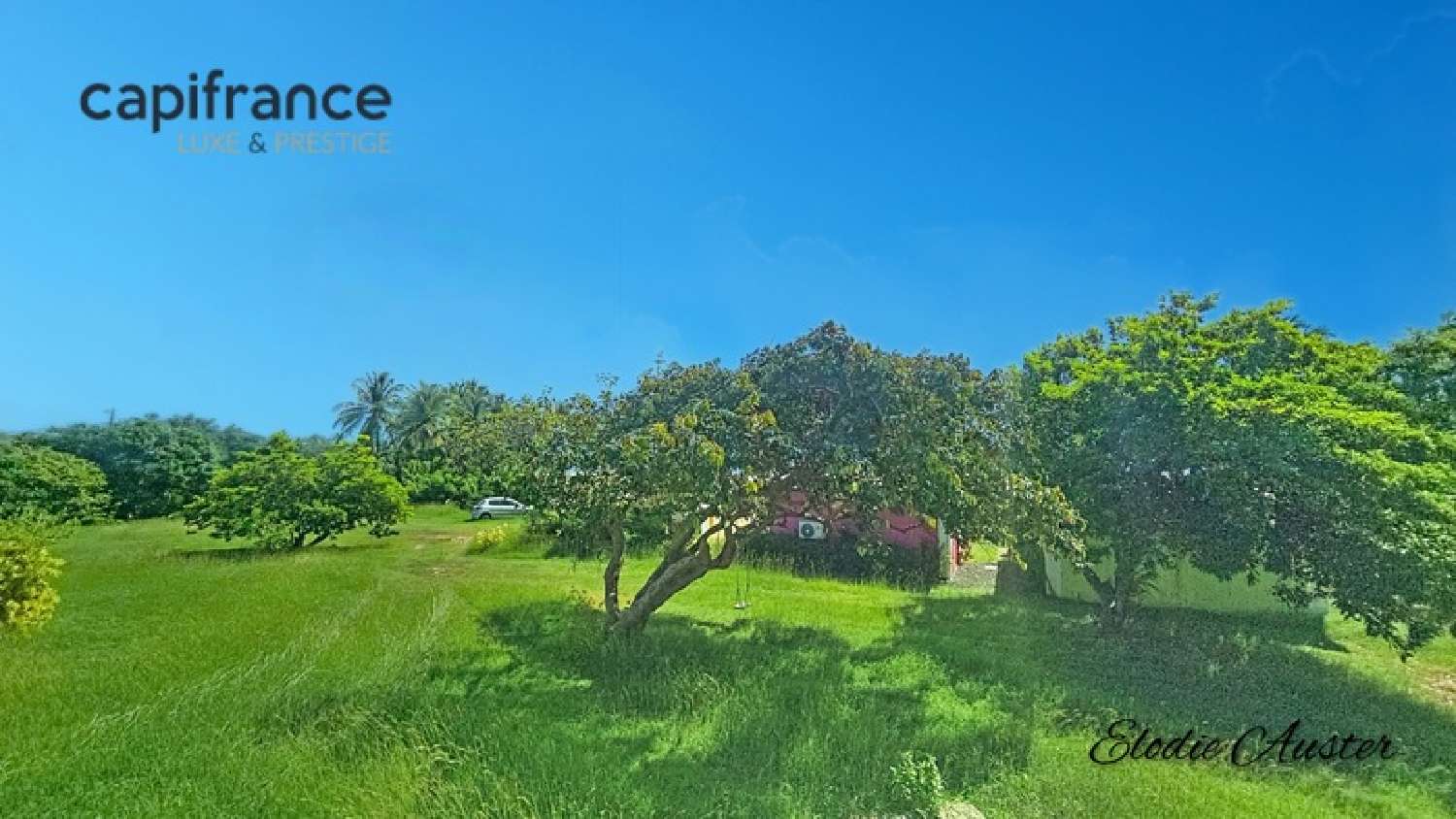  à vendre propriété Saint-François Guadeloupe 7