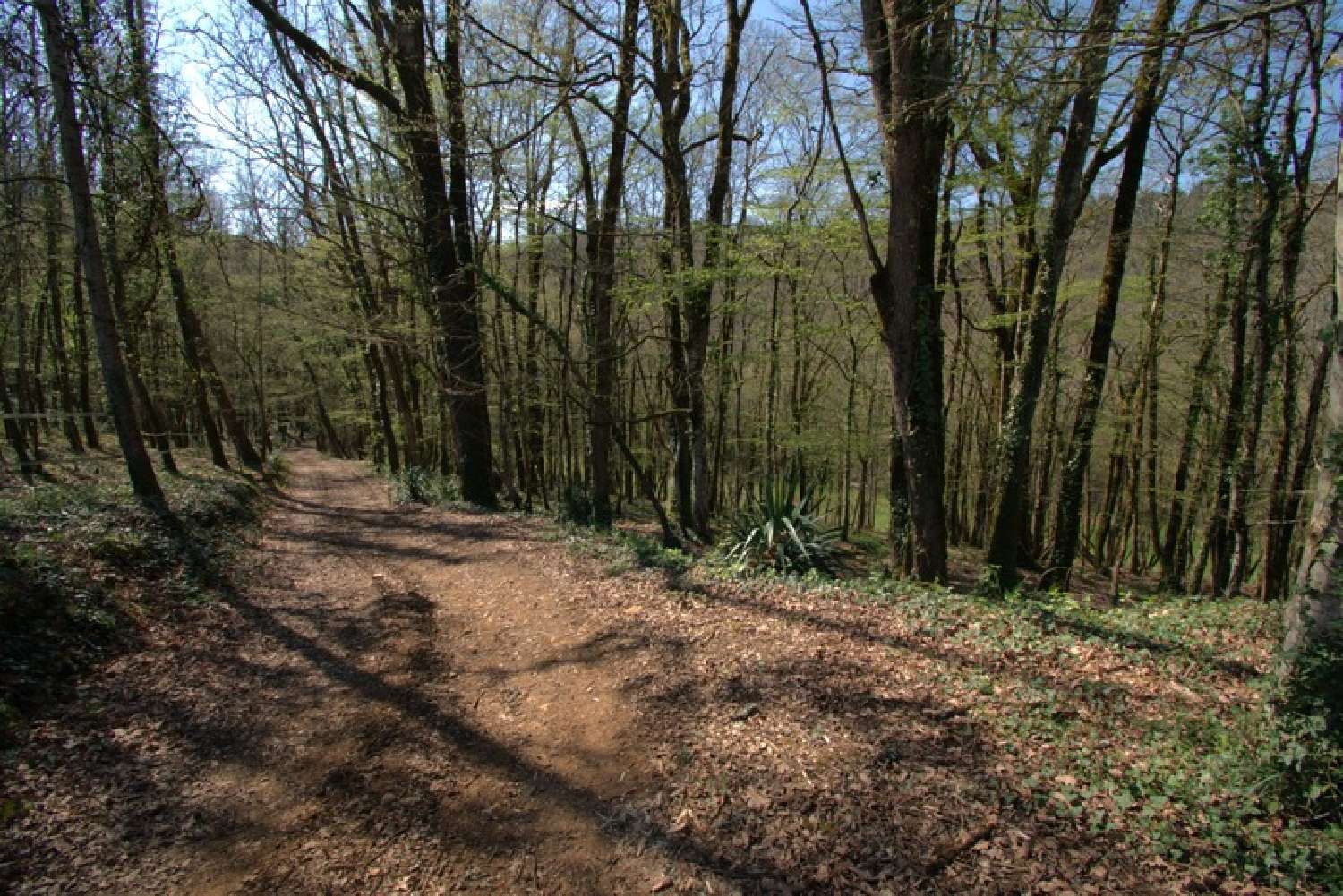  for sale estate Saint-Geniès Dordogne 8