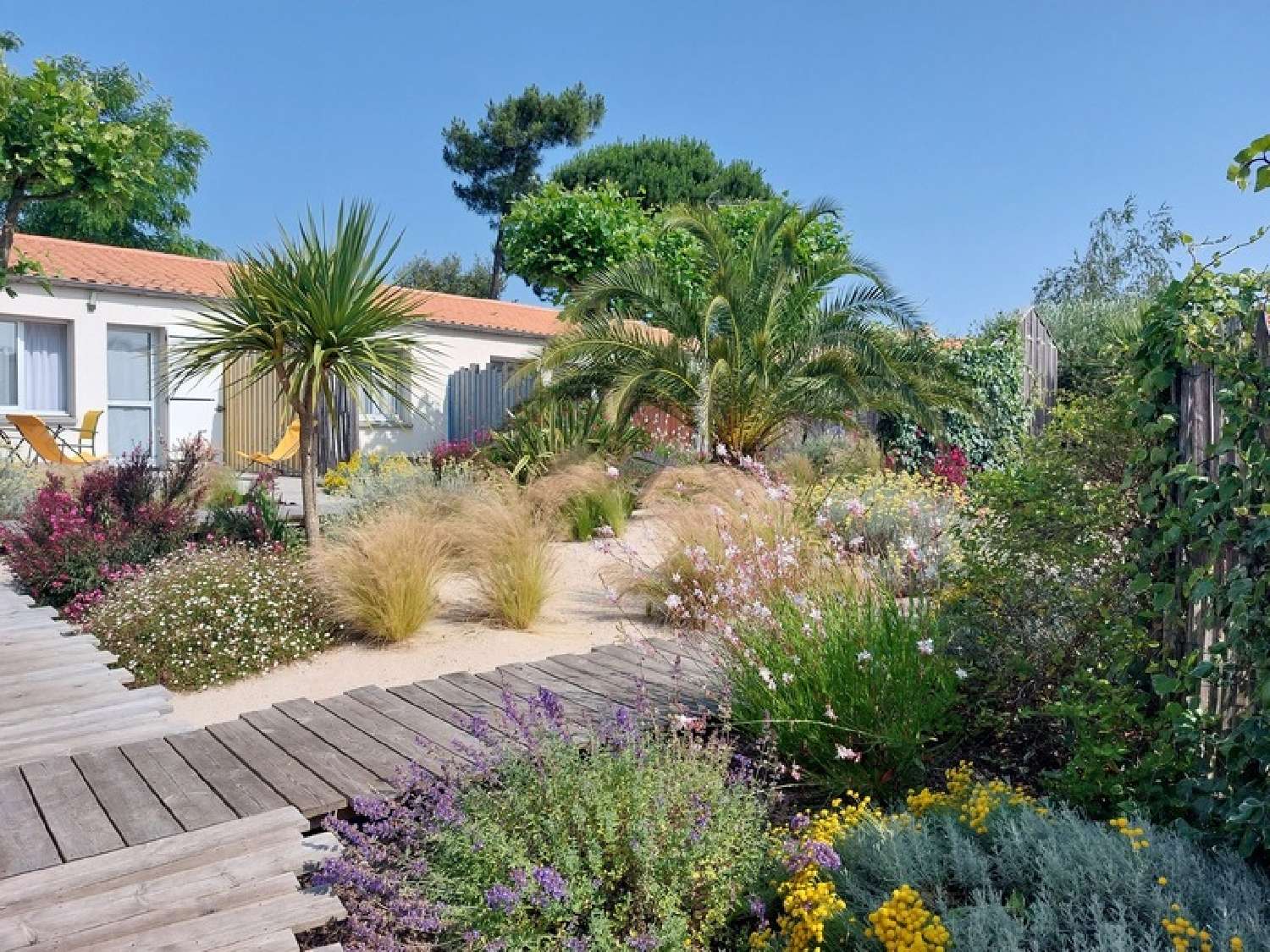  te koop landgoed Saint-Georges-d'Oléron Charente-Maritime 1