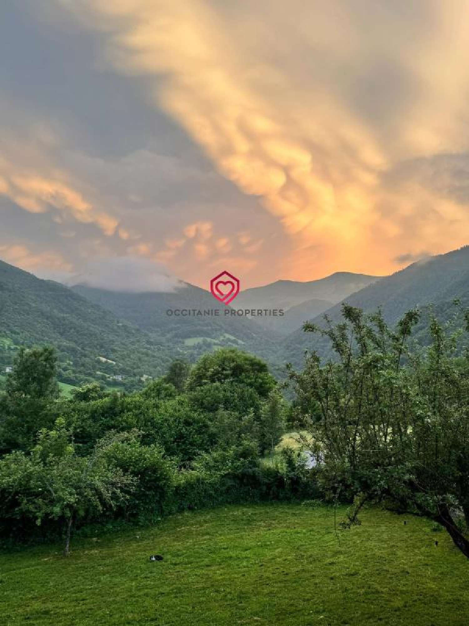  for sale estate Saint-Lary Ariège 2