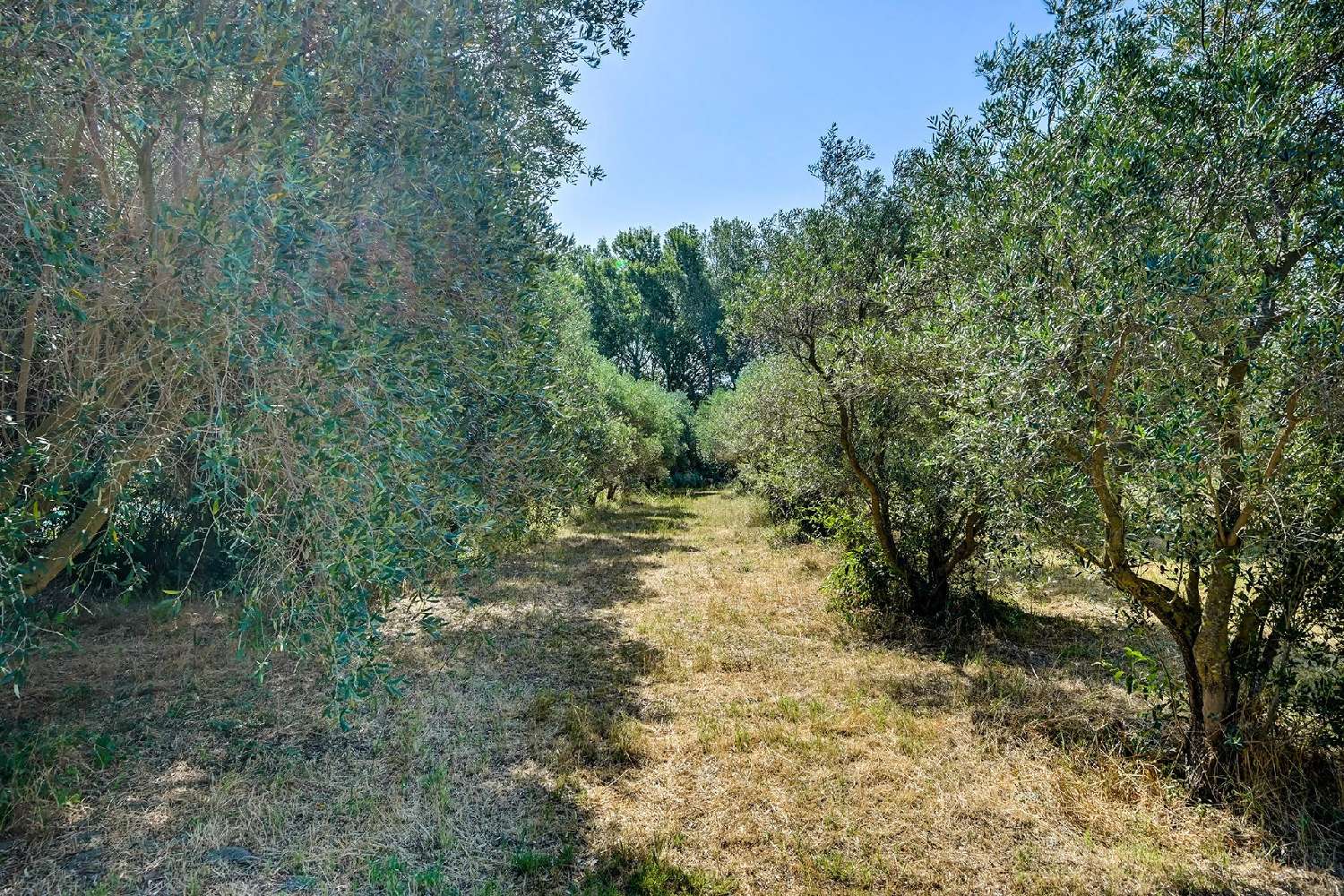 en venta finca rústica Salon-de-Provence Bocas del Ródano 4