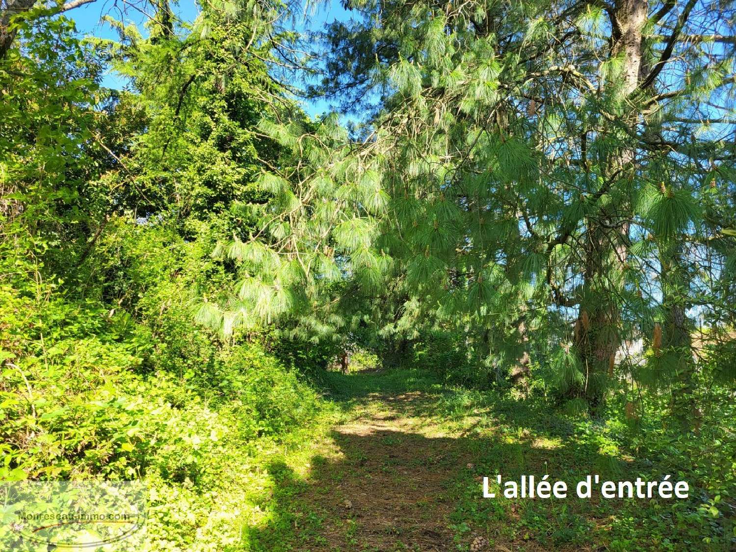  for sale estate Sancé Saône-et-Loire 2