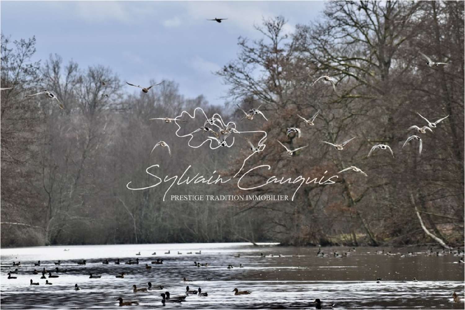 for sale estate Sennely Loiret 1