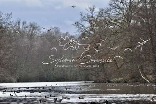 Sennely Loiret estate foto 7303351