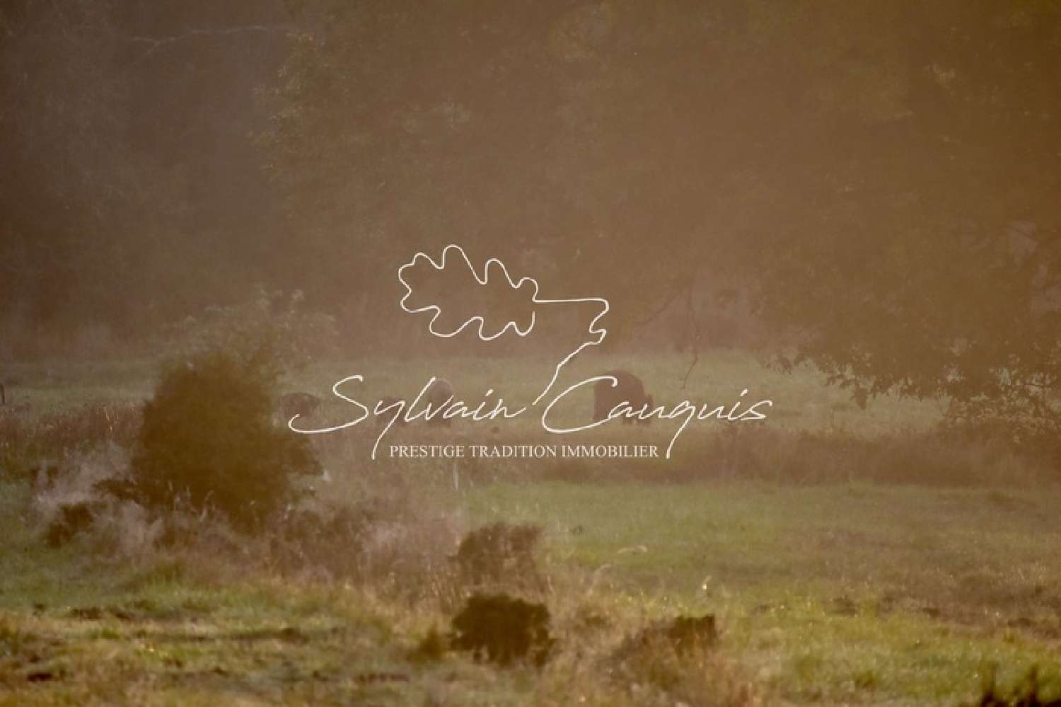 for sale estate Sennely Loiret 2