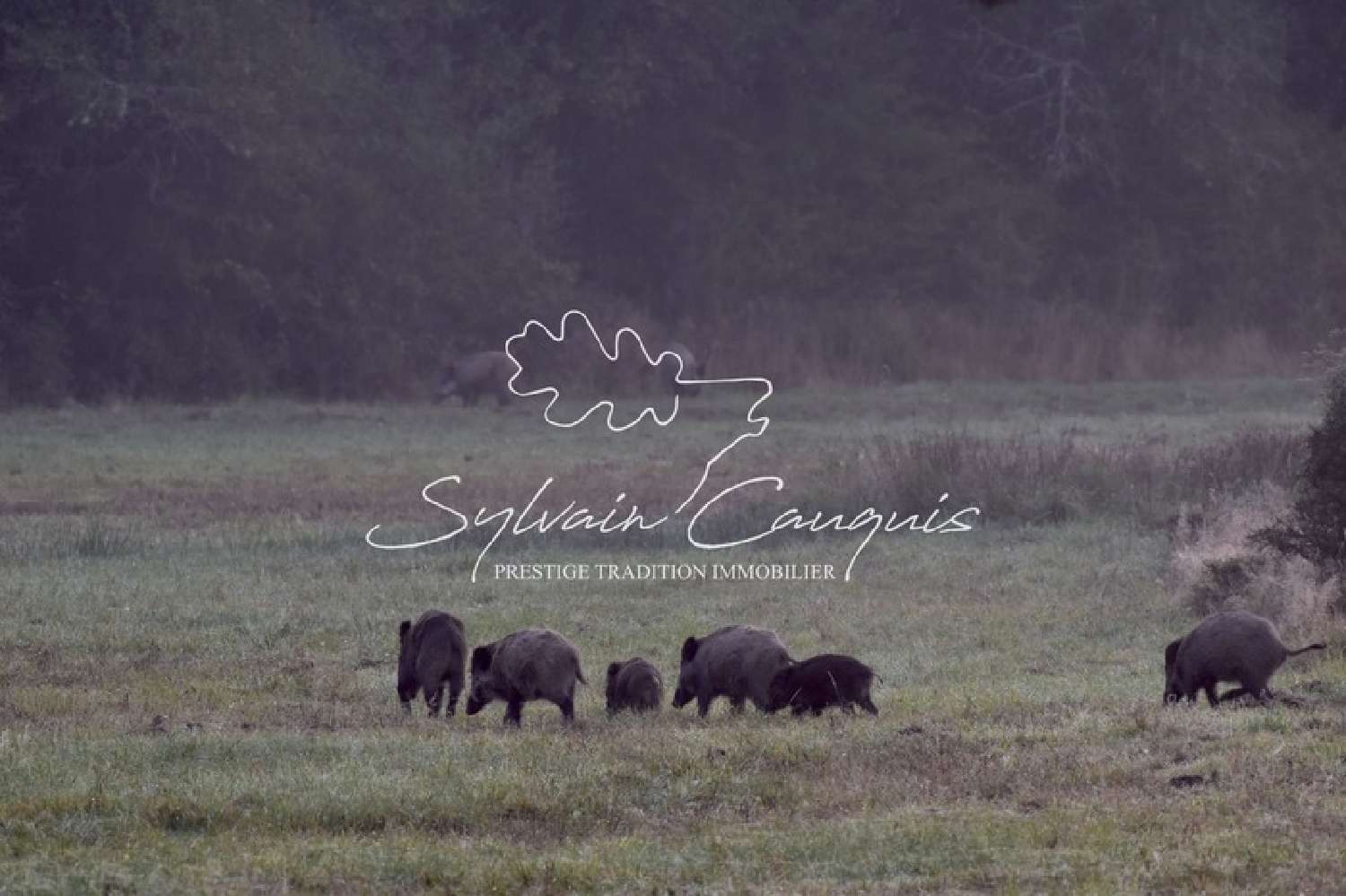 for sale estate Sennely Loiret 3