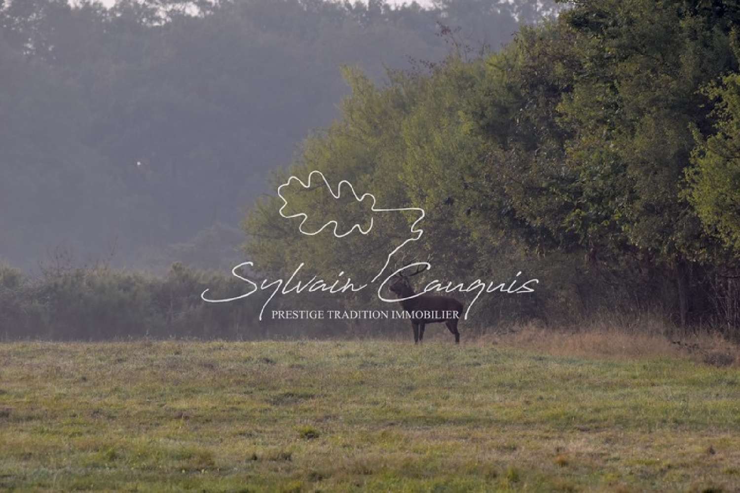 for sale estate Sennely Loiret 4