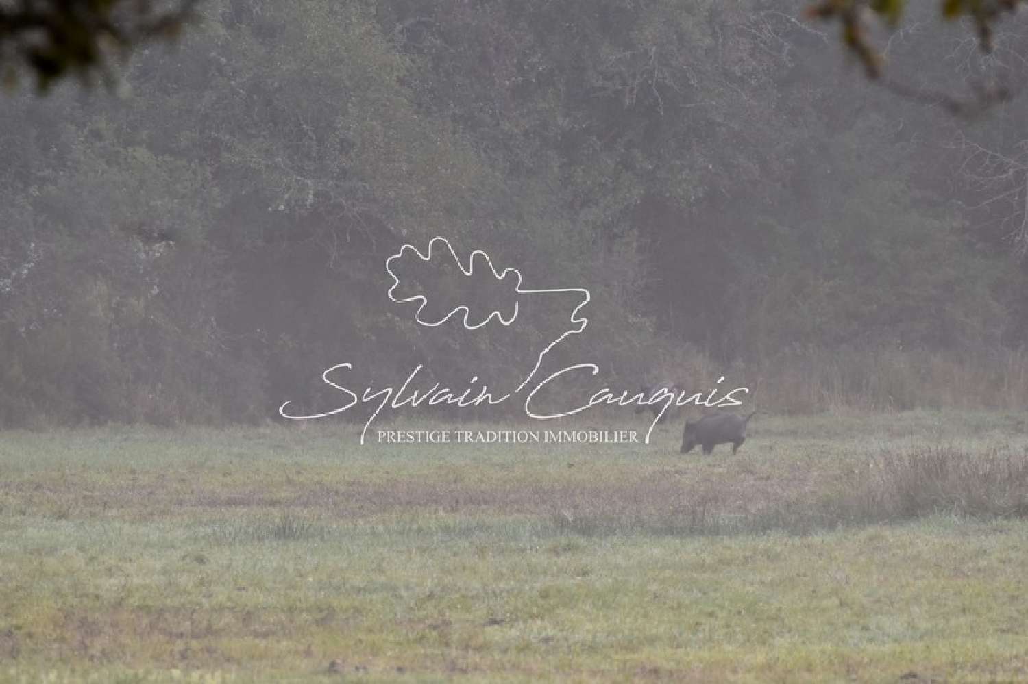 for sale estate Sennely Loiret 5