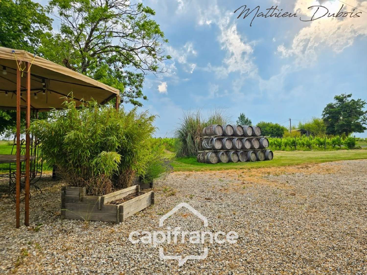 te koop landgoed Thénac Dordogne 4