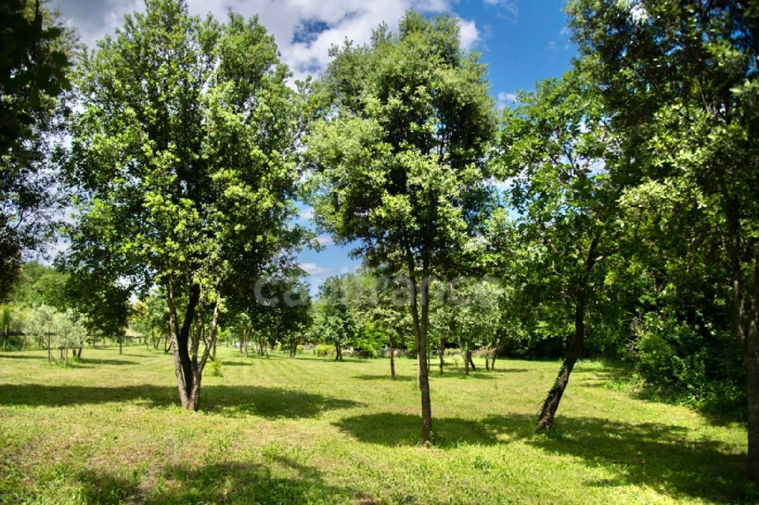  à vendre propriété Uzès Gard 5