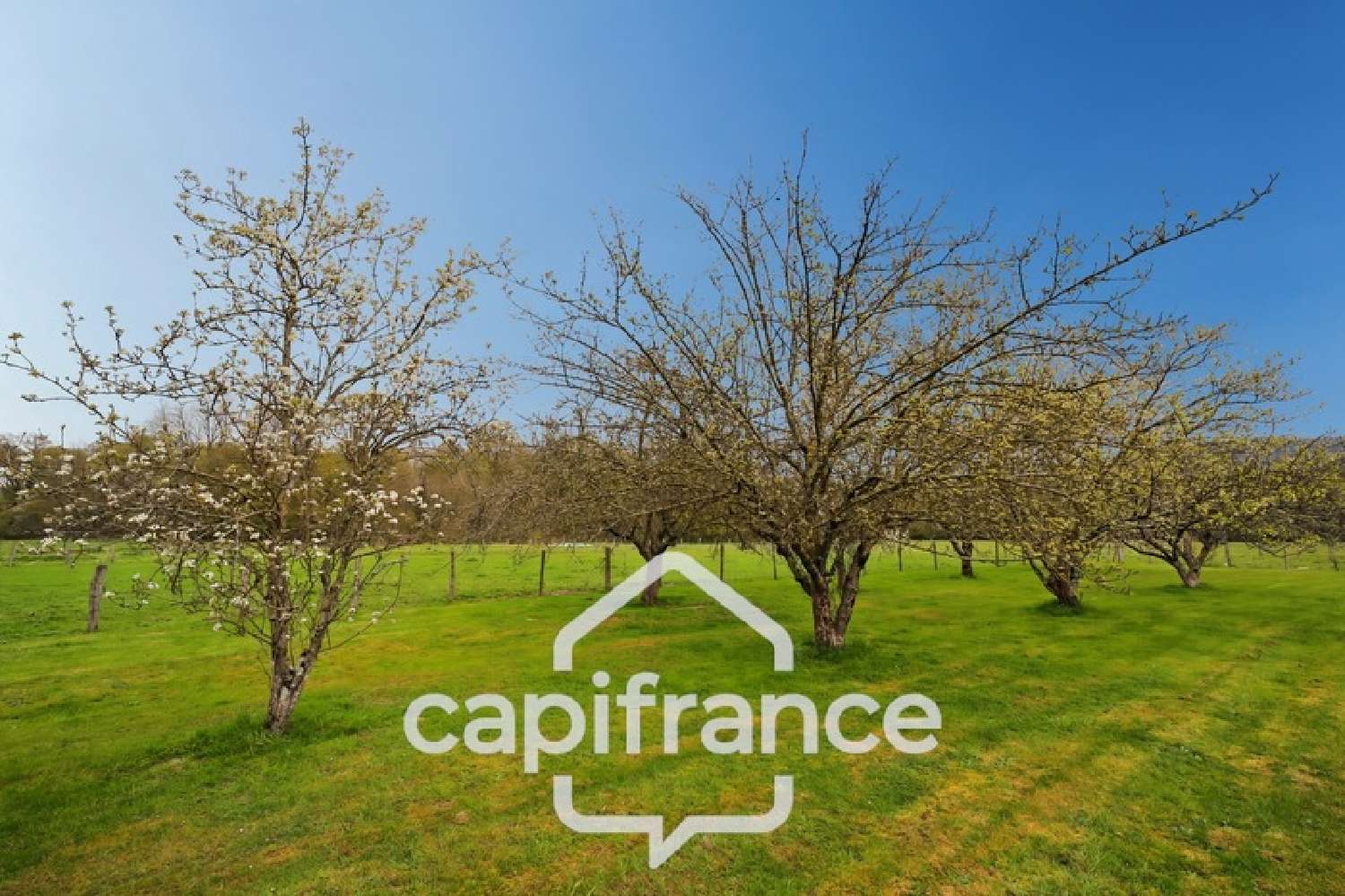  kaufen Bauernhof Beaufort Jura 6