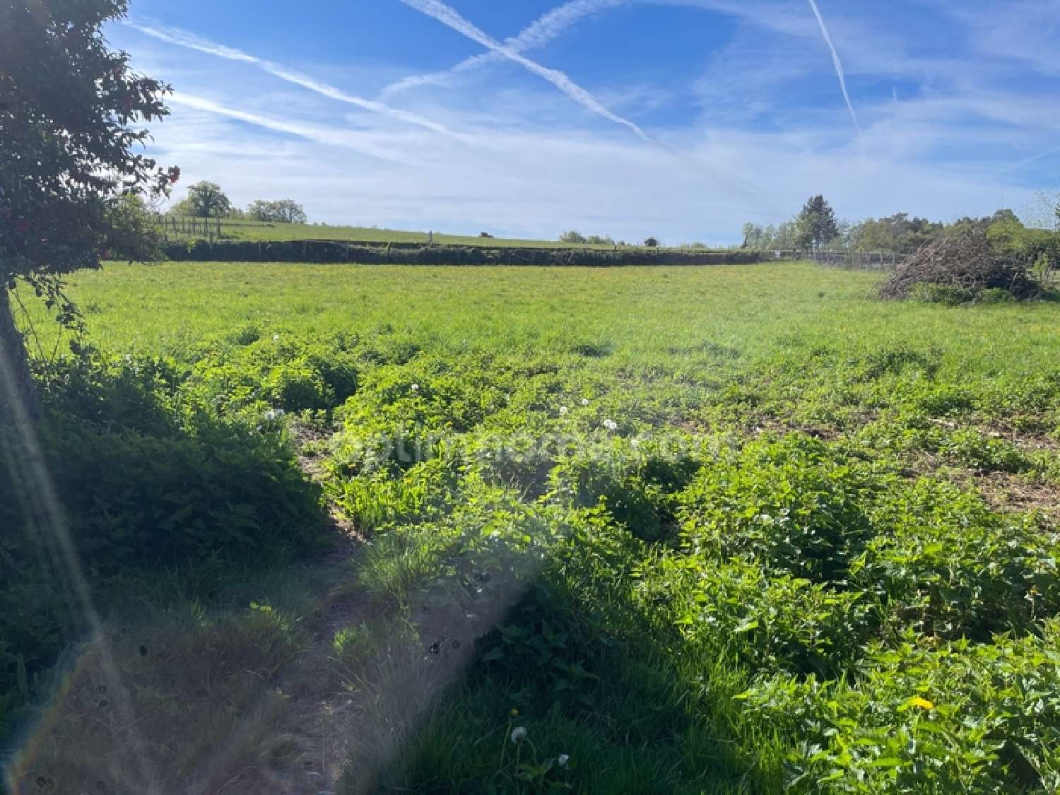  te koop boerderij Bersac-sur-Rivalier Haute-Vienne 2