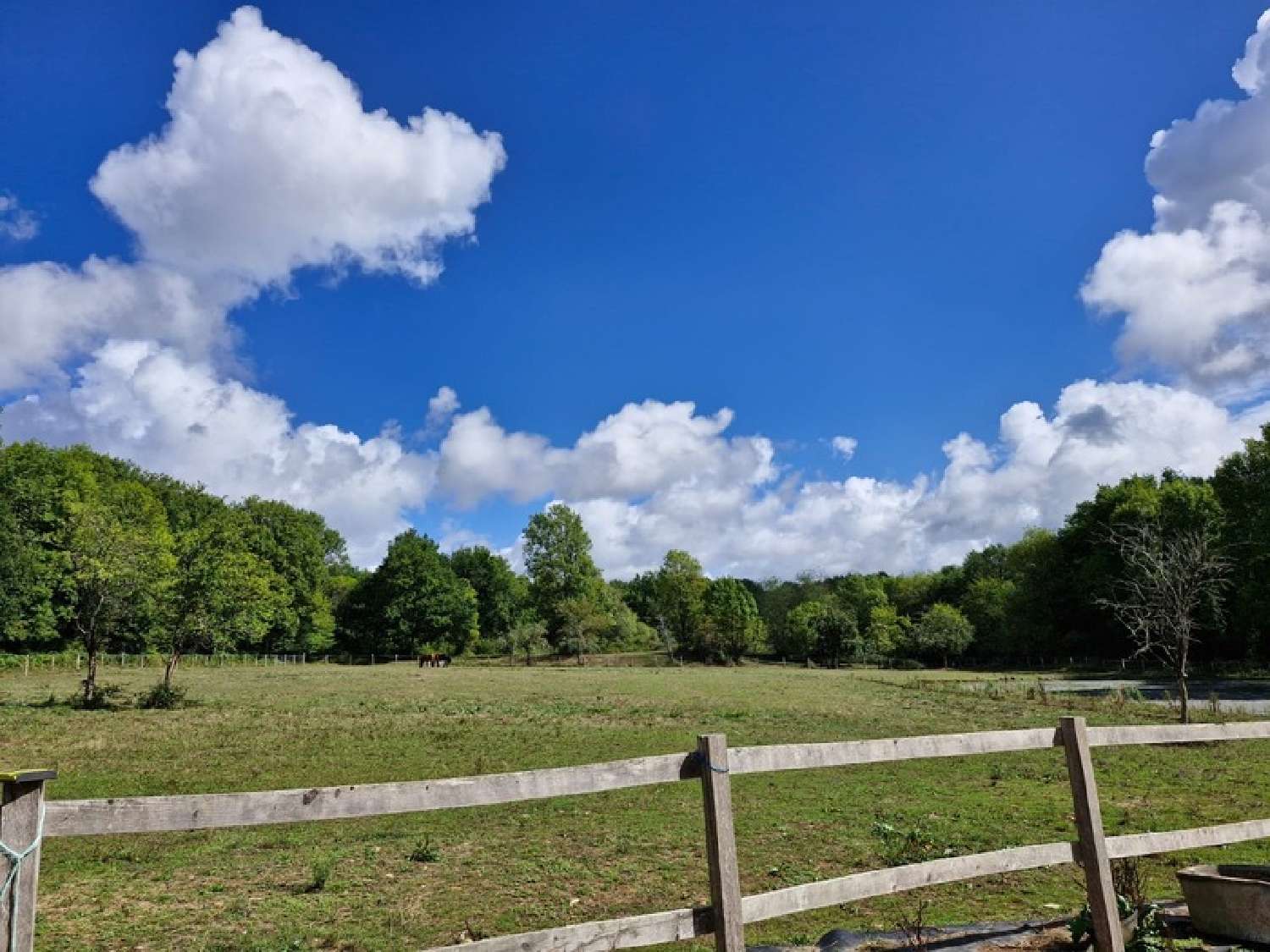  te koop boerderij Genouillac Charente 3