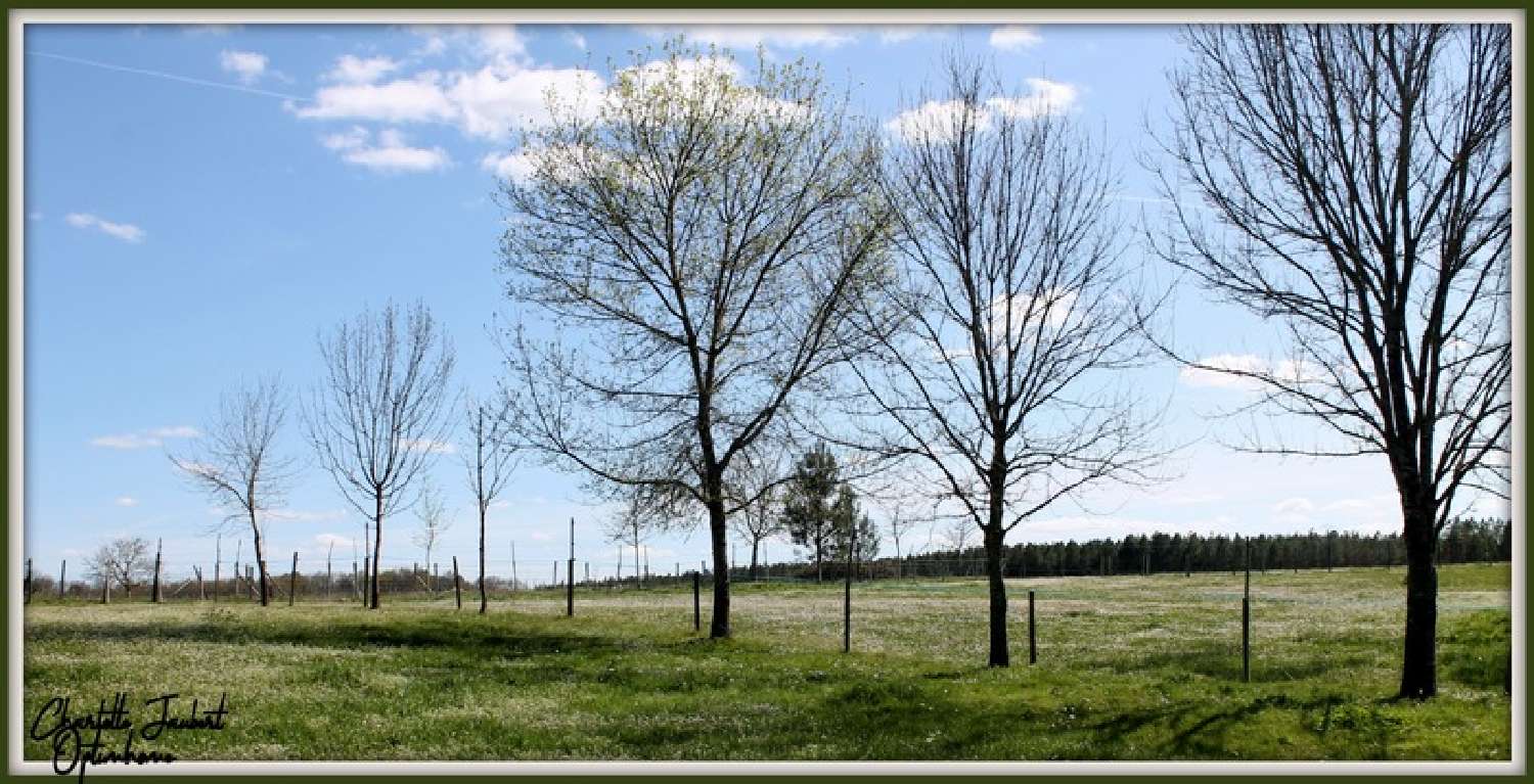  kaufen Bauernhof La Roche-Chalais Dordogne 8