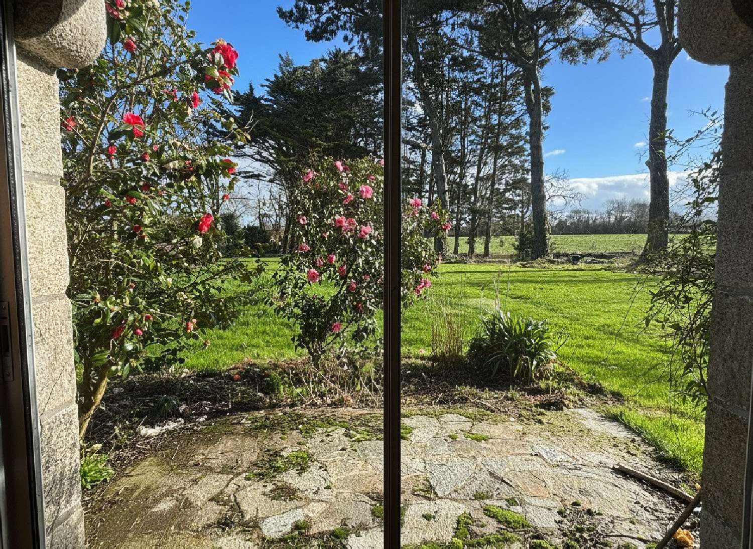  kaufen Bauernhof Pleubian Côtes-d'Armor 8