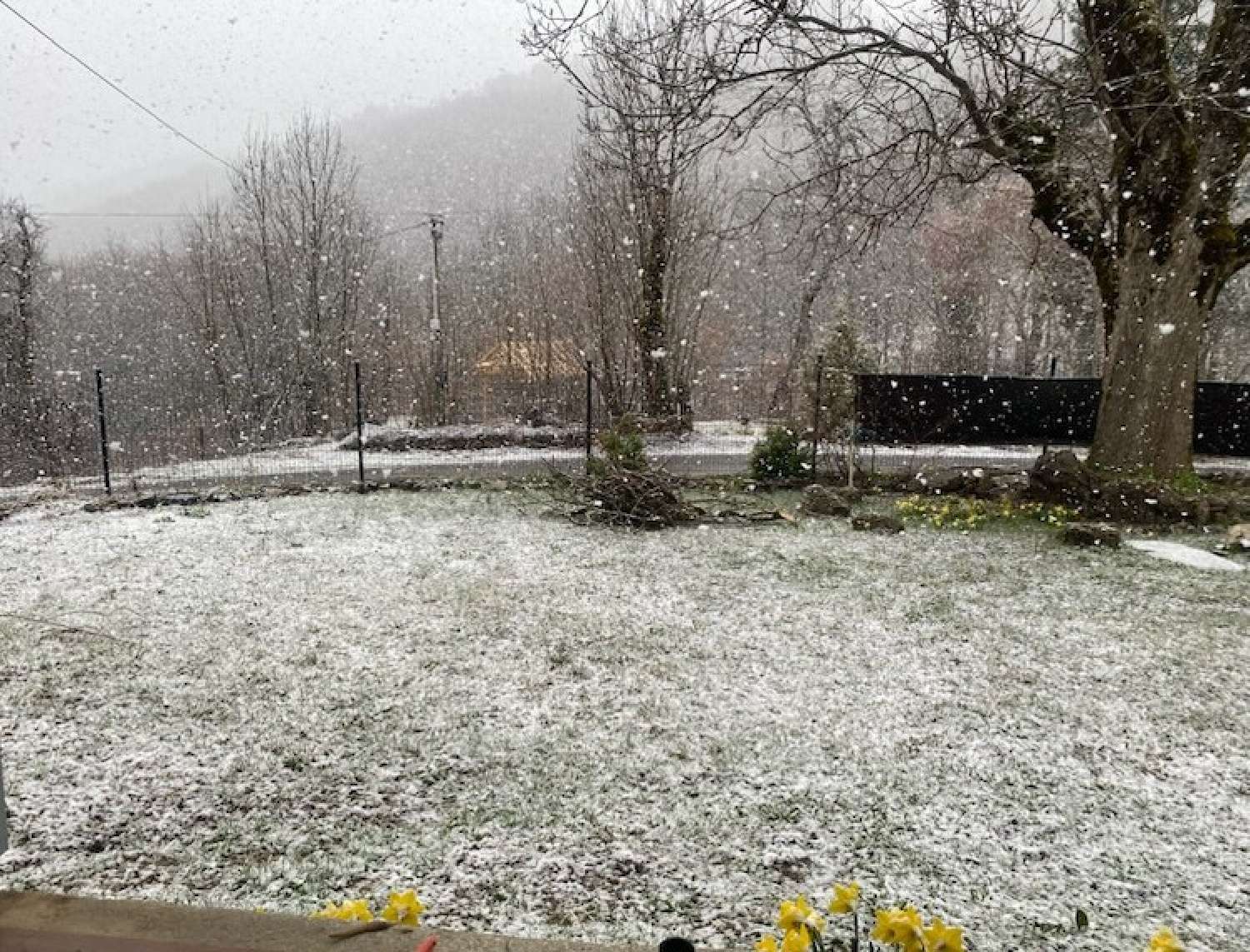 à vendre ferme Rencurel Isère 3