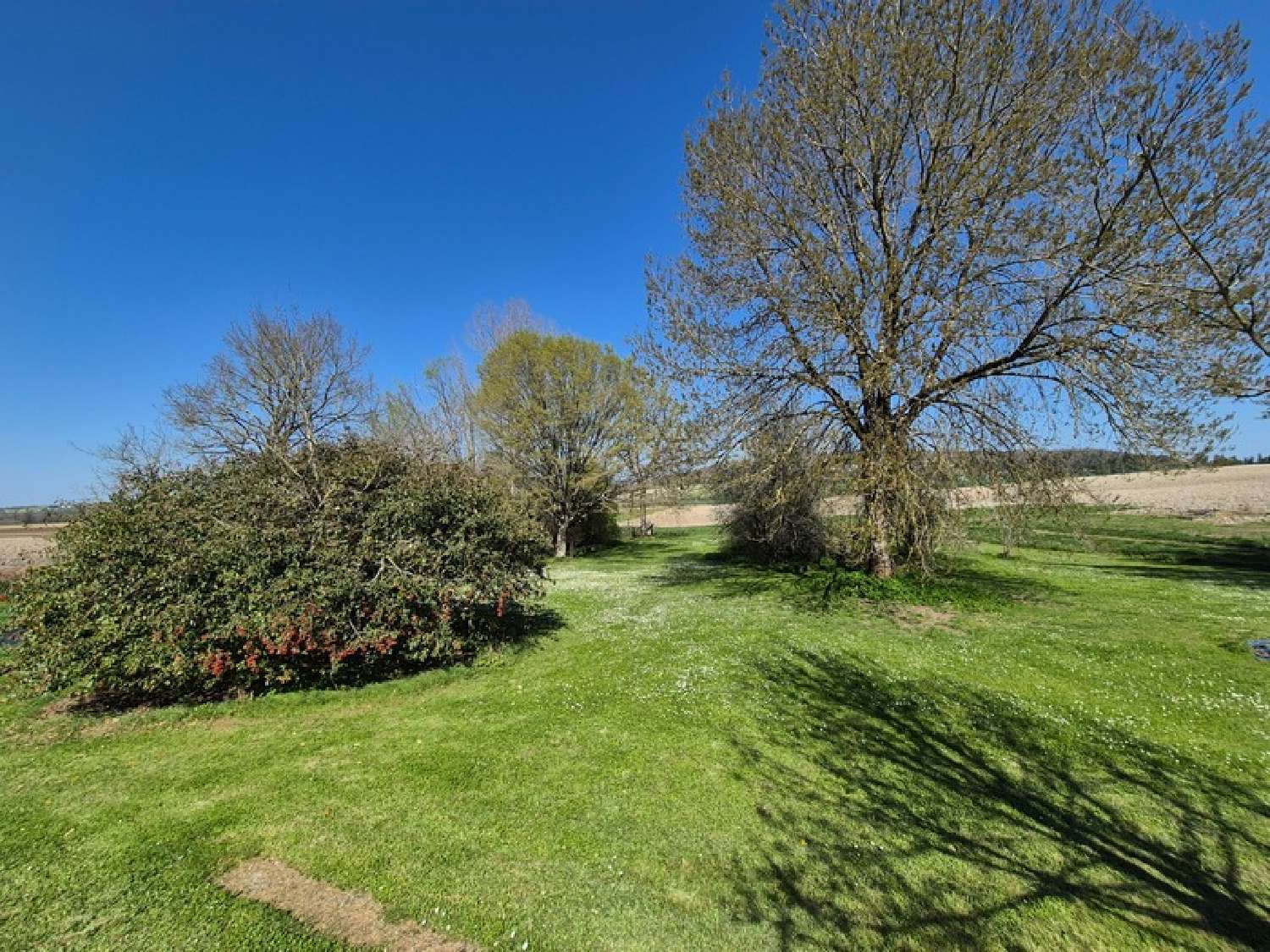  for sale farm Ronsenac Charente 8