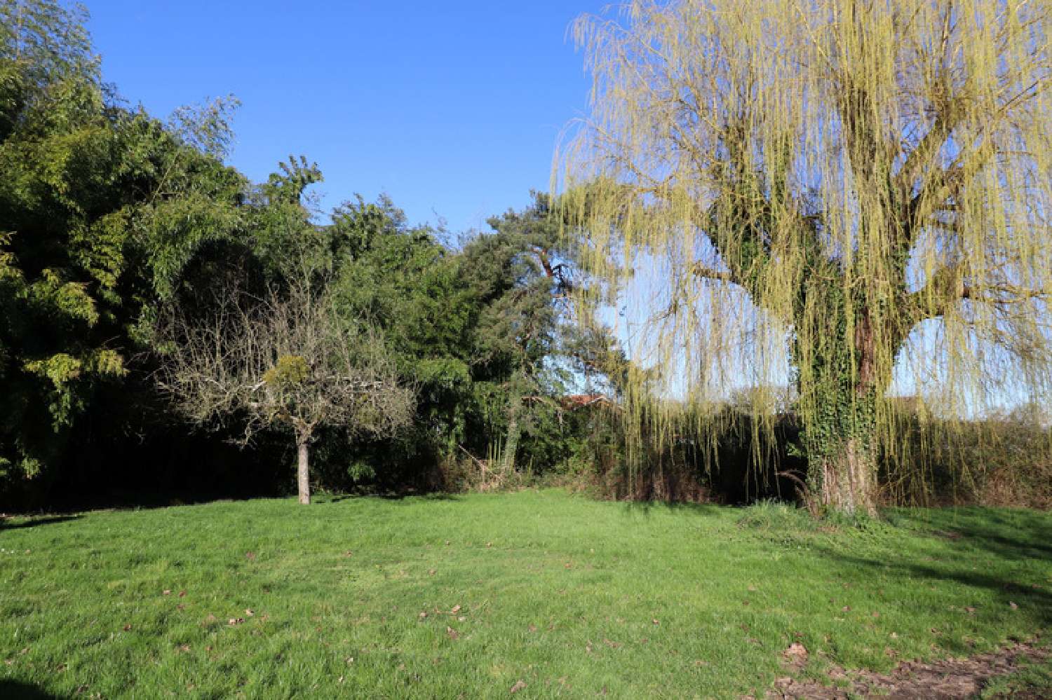  te koop boerderij Saint-Jean-sur-Reyssouze Ain 2