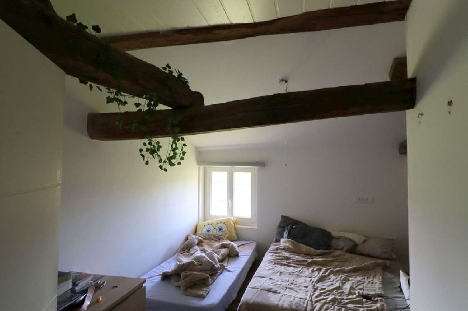  te koop boerderij Saint-Jean-sur-Reyssouze Ain 8