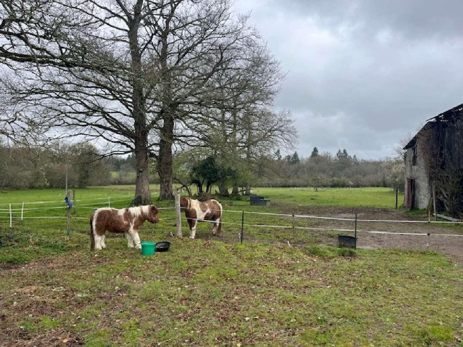  kaufen Bauernhof Saint-Laurent-sur-Gorre Haute-Vienne 2