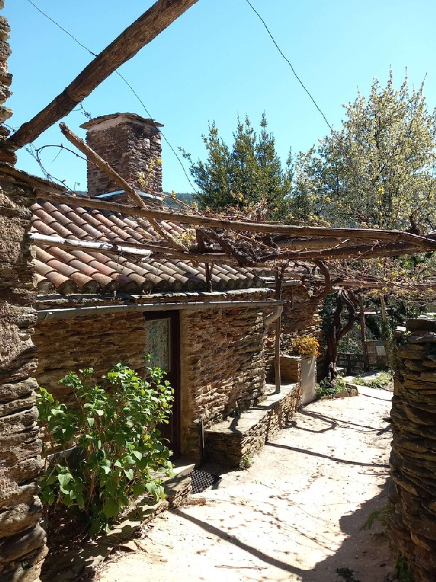  kaufen Bauernhof Saint-Martin-de-Boubaux Lozère 1