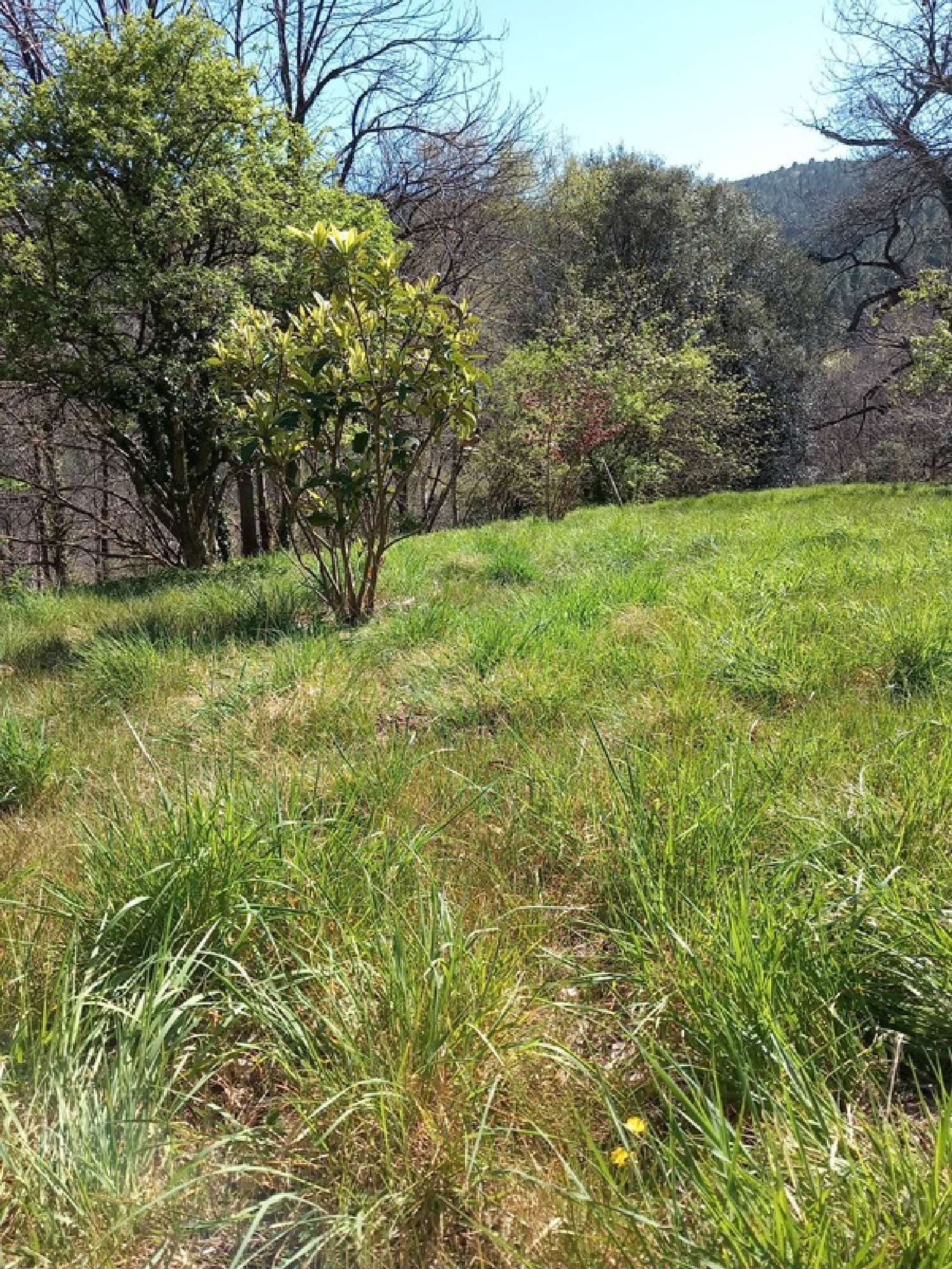  kaufen Bauernhof Saint-Martin-de-Boubaux Lozère 6