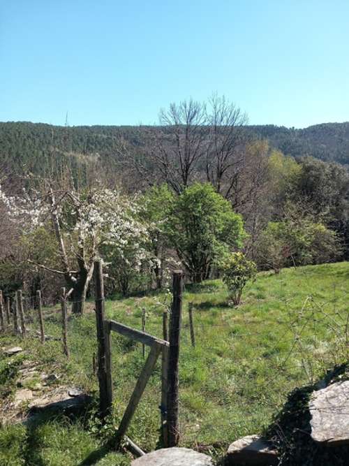  te koop boerderij Saint-Martin-de-Boubaux Lozère 7