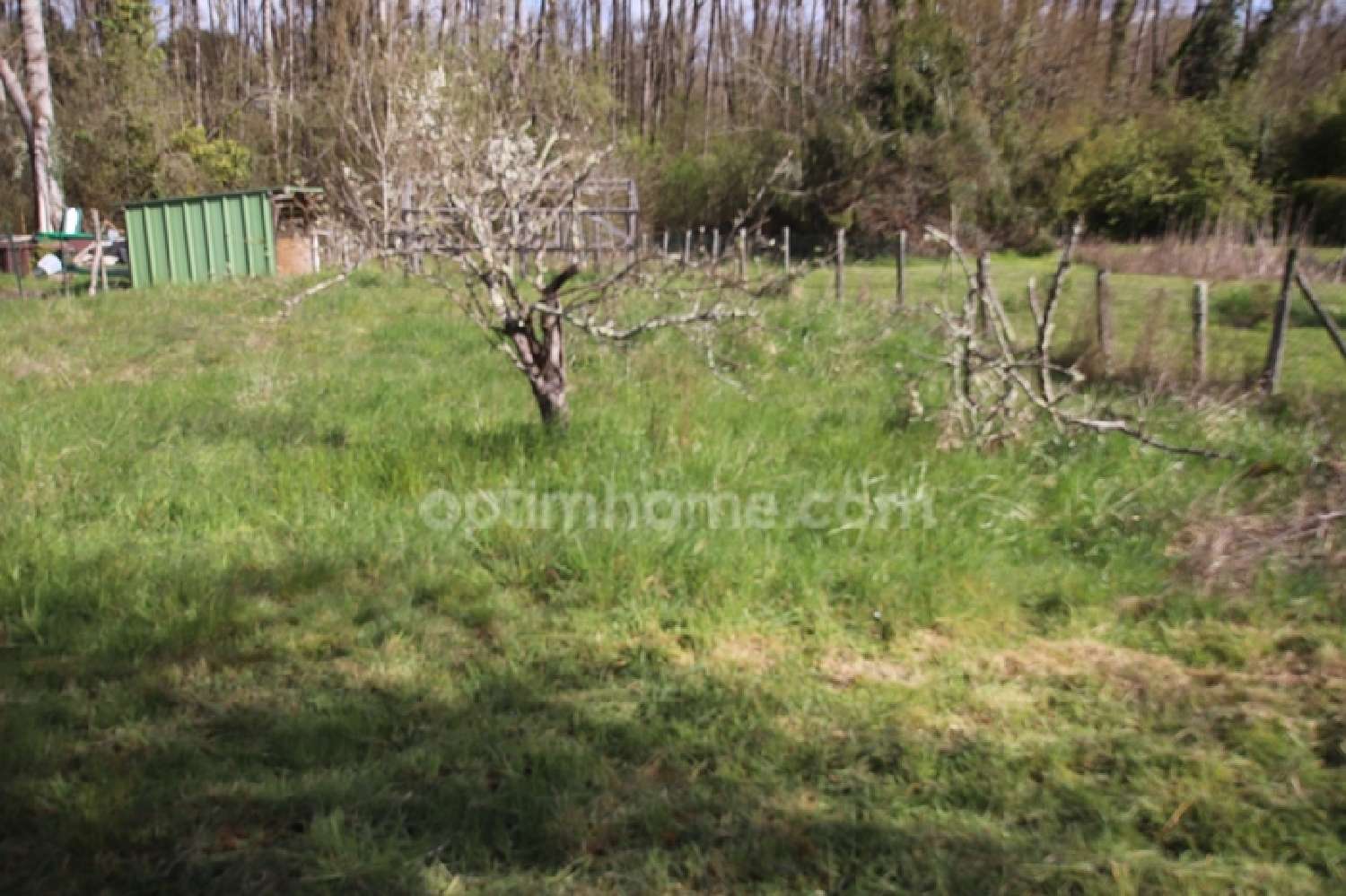  for sale farm Souesmes Loir-et-Cher 8