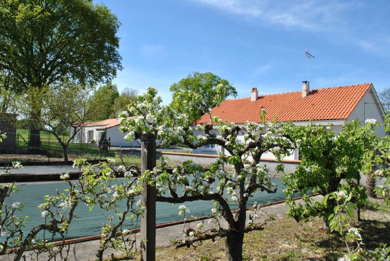  à vendre ferme Treize-Septiers Vendée 7