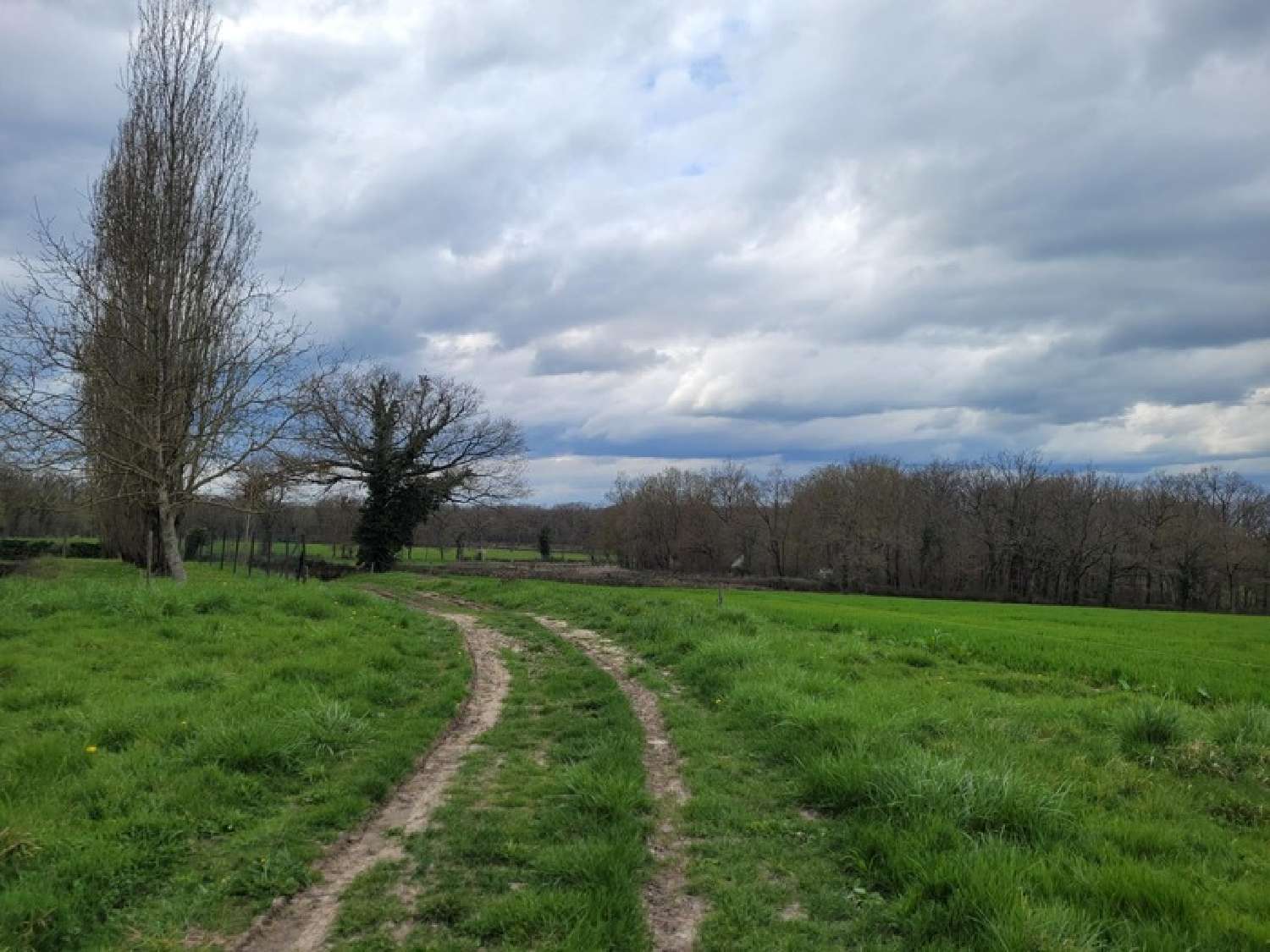  te koop boerderij Valigny Allier 4