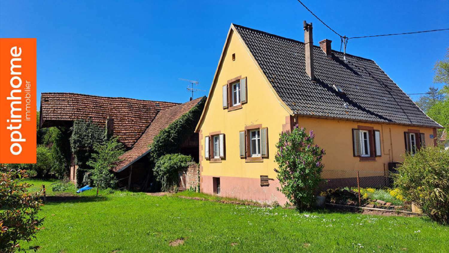 te koop boerderij Wimmenau Bas-Rhin 2