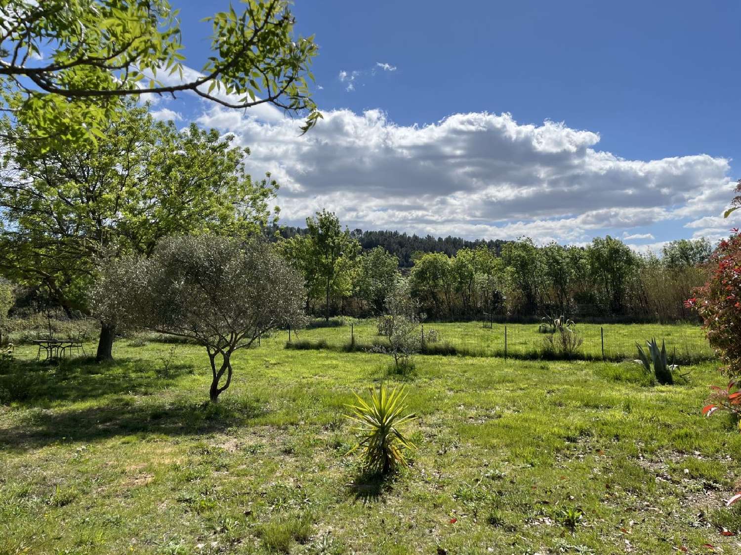  en venta casa Aigne Hérault 3