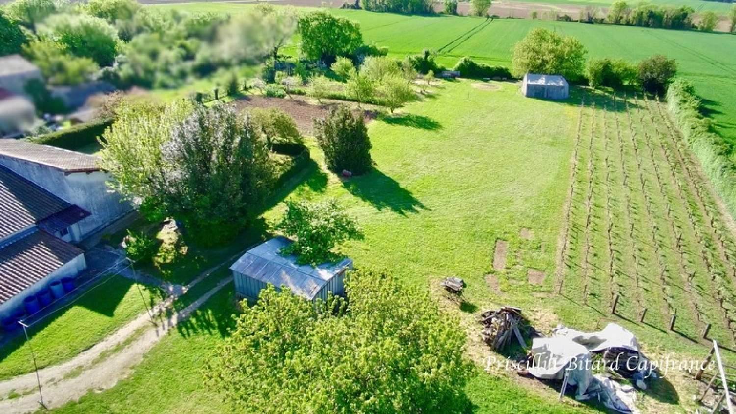  kaufen Haus Aigrefeuille-d'Aunis Charente-Maritime 5