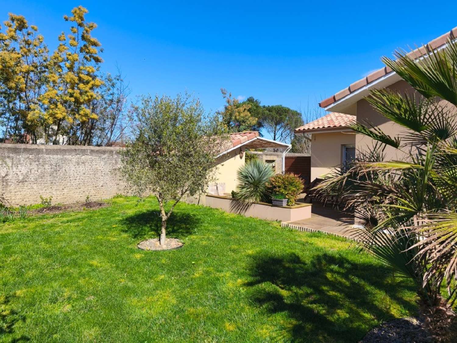  kaufen Haus Aire-sur-l'Adour Landes 3