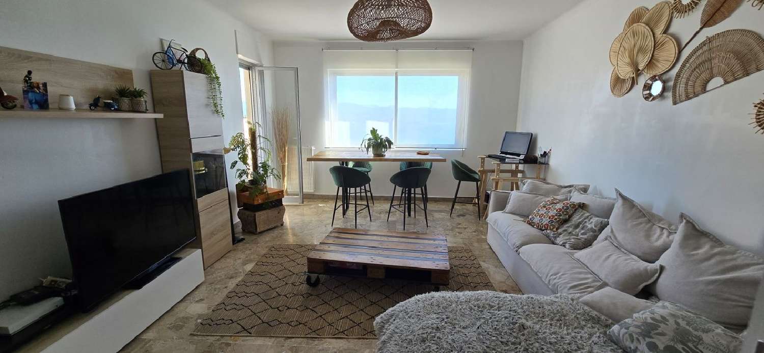  for sale house Ajaccio Corse-du-Sud 4