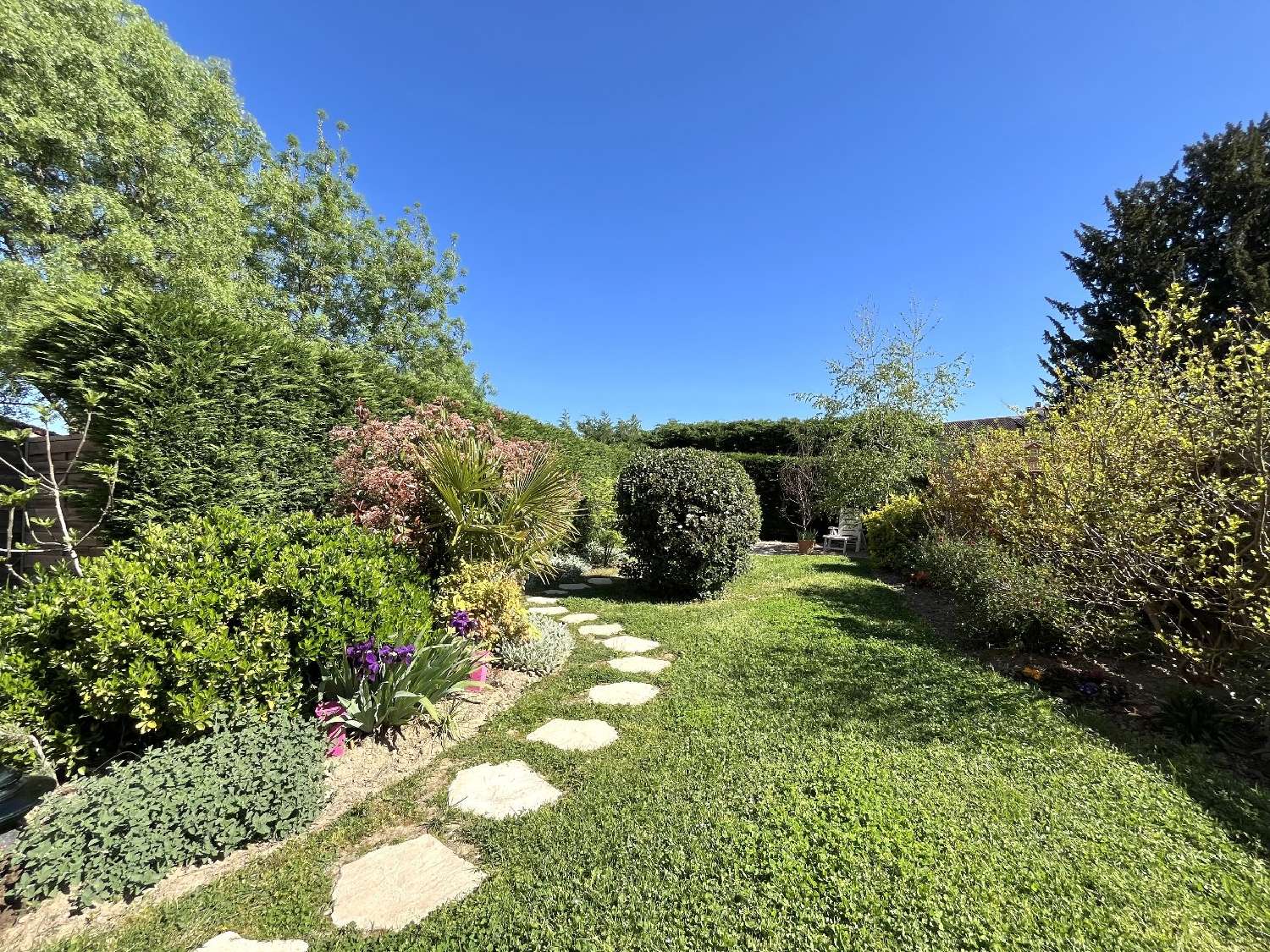  à vendre maison Albi Tarn 2