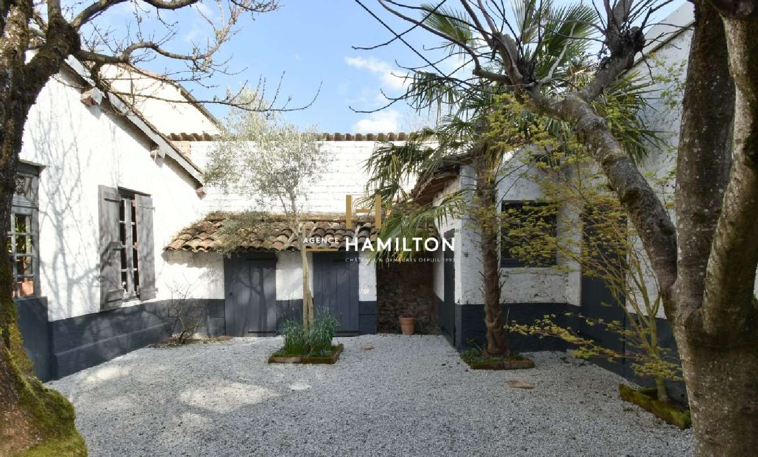  te koop huis Albi Tarn 3