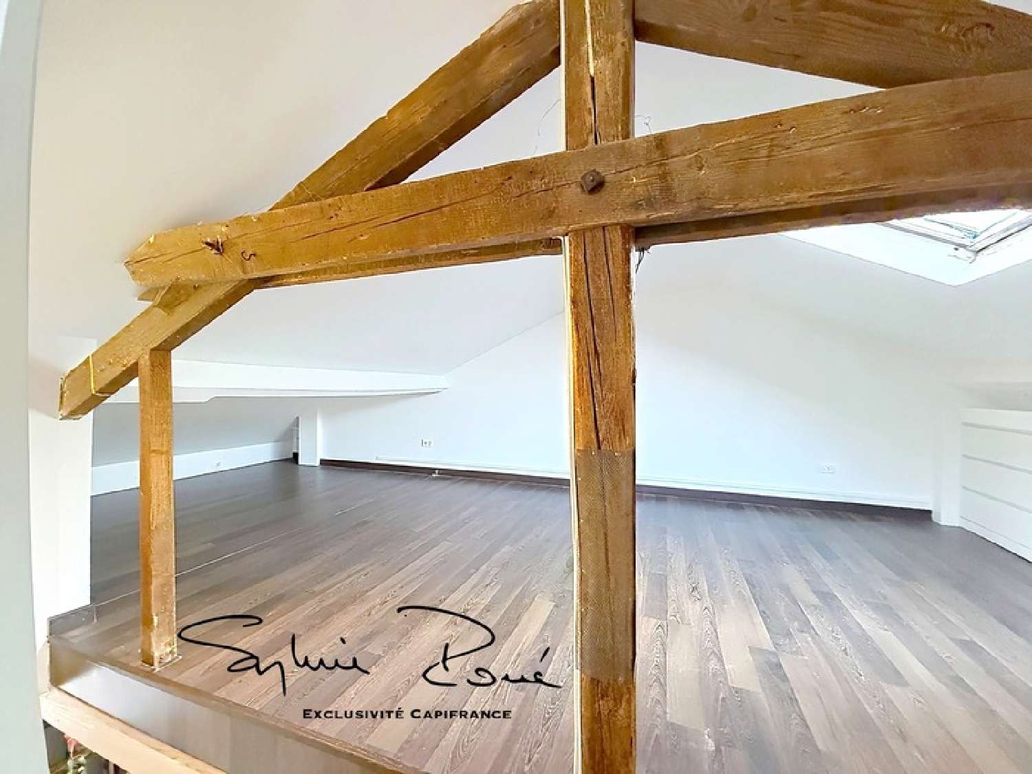 te koop huis Alfortville Val-de-Marne 8