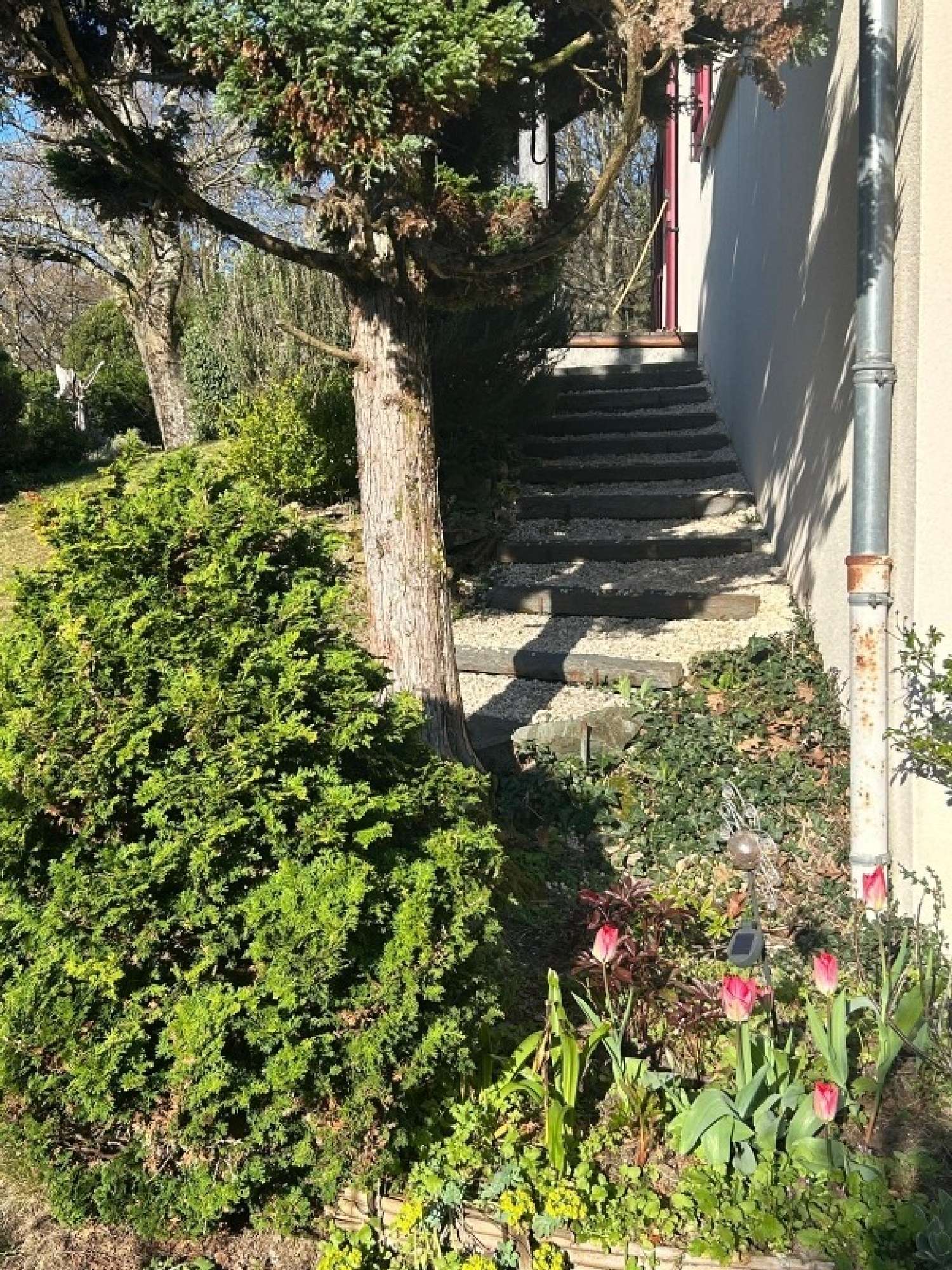  for sale house Ambazac Haute-Vienne 4